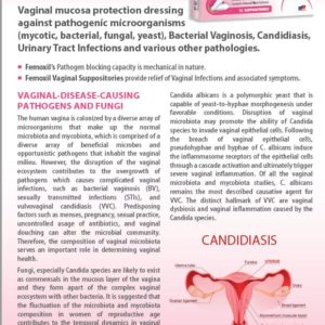 Femoxil suppositories for Vaginal mucosa protection * introduction sale *